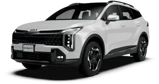 X-Line Terracota Brown HEV